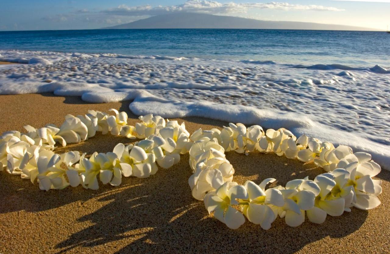 Diamond Head View Close To Waikiki Beach With Parking 檀香山 外观 照片